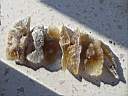 desert rose0003.JPG